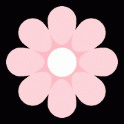  各市、各单元正在